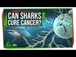 Видео обзор на BioTherapies, Шарк картиладж, Shark Cartilage, 180 капсул