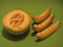 Bluebonnet Nutrition, Cantaloupe Melon Fruit Extract 100 IU