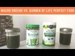 Видео обзор на Garden of Life, Суперфуд, Perfect Food, 600 г