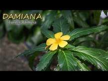 Nature's Way, Damiana Leaves 400 mg