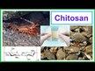 Відео огляд на Nutricology, MicroChitosan, Мікрохітозан, 60 капсул