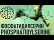 Видео обзор на Phosphatidyl Serine Matrix 500 mg, Фосфатидилсерин 500 мг, 60 кап