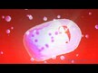 Відео огляд на NOW, Beta-1,3/1,6-D-Glucan, Бета-1.3/1.6-D-Глюкан, 90 капсул