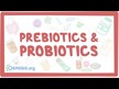 Видео обзор на Пробиотики для детей, Animal Parade Probiotic, 30 конфет