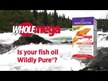 Видео обзор на Масло дикого лосося, Wholemega Fish Oil 1000 mg, 120 капсул
