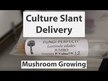Видео обзор на Myco Botanicals Liver Helps, Грибы для Поддержки Печени, 60 капсу