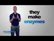 Видео обзор на Enzymedica, Ферменты, Enzyme Defense, 120 капсул