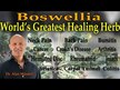 Відео огляд на Pure Encapsulations, Boswellia, Босвелія, 60 капсул