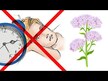 Видео обзор на Nature's Way, Валериана, Valerian Root 1590 mg, 100 капсул