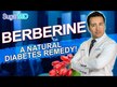Відео огляд на Glucose Management with Berberine, Підтримка рівня цукру, 90 капс